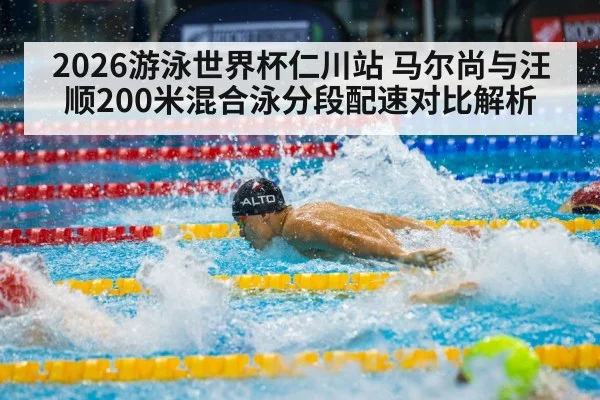 male swimmer butterfly stroke competition