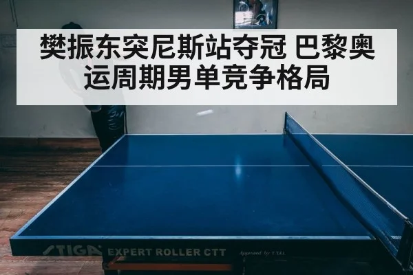 table tennis player match